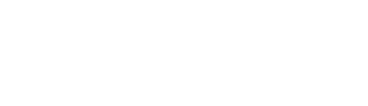 b.Aktiv LGG logo