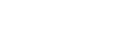 Blanka Vlašić logo