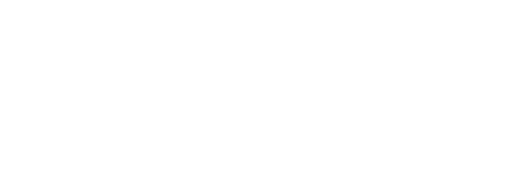 Domel logo
