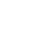 Domestos logo