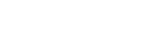 Dubrovnik logo