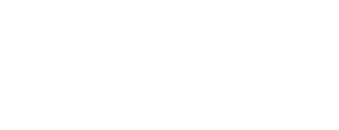Elan logo