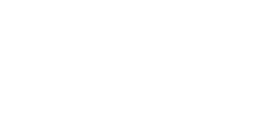 Fini-Mini logo