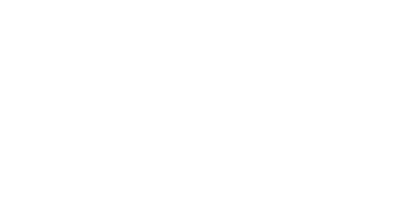 IDIVIDI logo