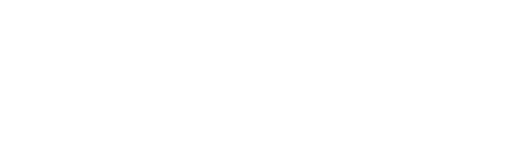 Lider logo