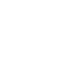 Mercator logo