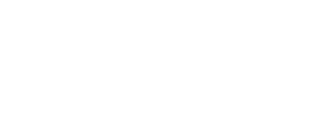 Orion Pirotehnika logo