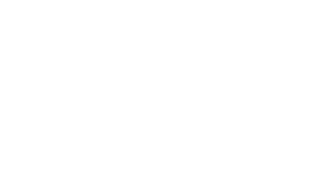 PIP logo