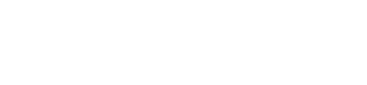 Plidenta logo