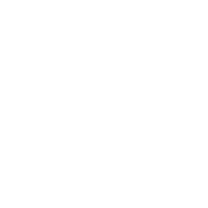 Publicis logo