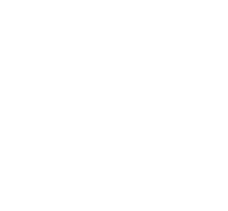 Salona logo