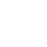 SONAX logo