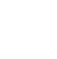 Tuzlanska so logo