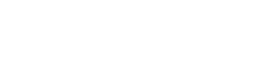 Valicon logo