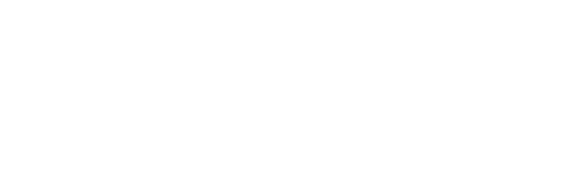 Vidi SummIT