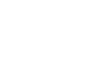 Vitanez logo