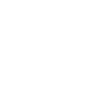 Young AI Leaders Zurich logo